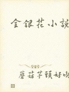 金银花小说乐可