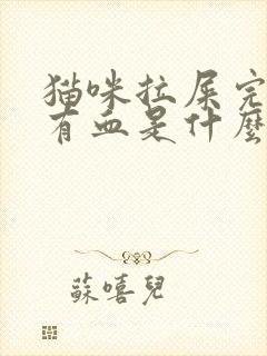 猫咪拉屎完肛门有血是什么原因