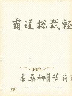 霸道总裁轻轻爱