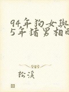 94年狗女与95年猪男相配吗
