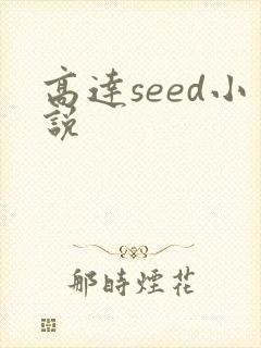 高达seed小说
