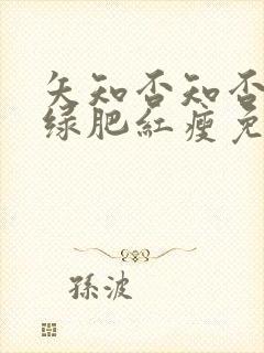 矢知否知否应是绿肥红瘦免费观看全集