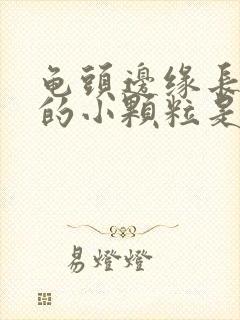 龟头边缘长白色的小颗粒是什么