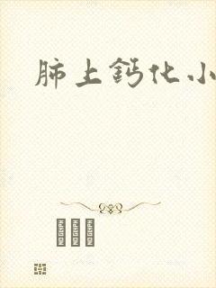 肺上钙化小结节