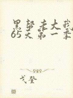 黑帮老大我的365天第一季在线观看