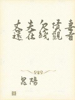 丈夫欠债妻子偿还在线观看