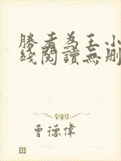 胜者为王小说在线阅读无删减