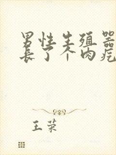 男性生殖器上面长了个肉疙瘩是怎么回事