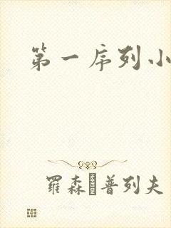 第一序列小说封面