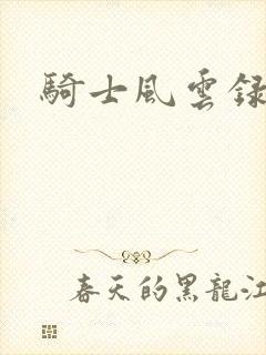 骑士风云录封面