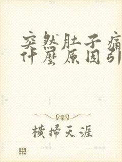 突然肚子痛呕吐什么原因引起的