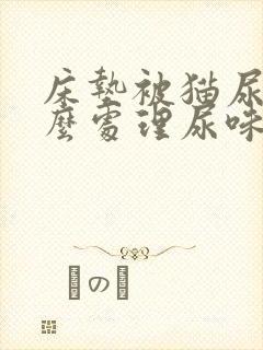 床垫被猫尿了怎么处理尿味封面