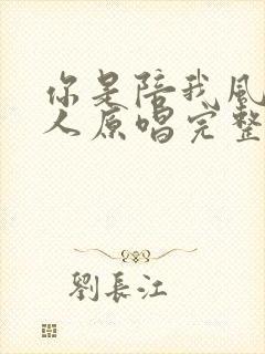 你是陪我风雨的人原唱完整版