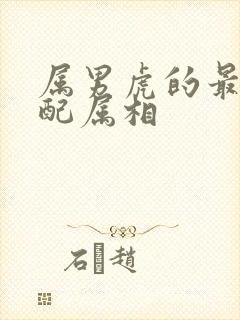 属男虎的最佳婚配属相封面