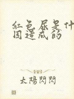 红色尿是什么原因造成的