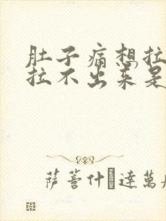 肚子痛想拉屎又拉不出来是什么原因