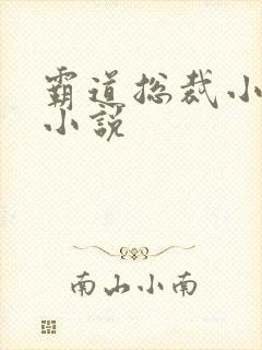 霸道总裁小娇妻小说