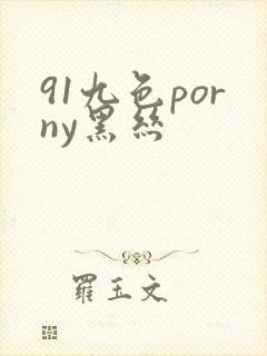 91九色porny黑丝