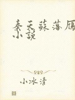 秦天苏落雁张池小说封面