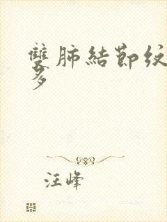 双肺结节纹理增多