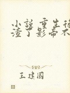 小说 重生后我渣了影帝不想负责