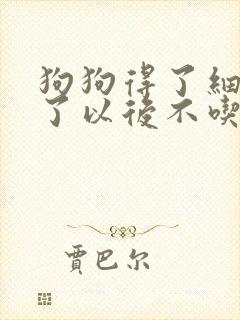 狗狗得了细小好了以后不吃东西怎么办