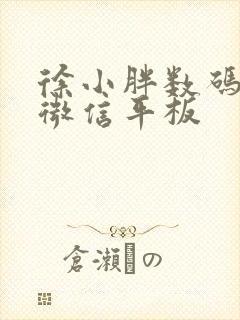 徐小胖数码云盘微信平板