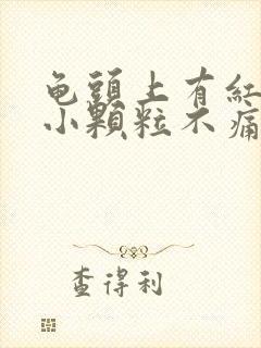 龟头上有红色的小颗粒不痛不痒