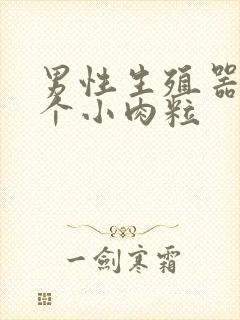 男性生殖器长了个小肉粒