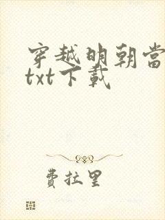 穿越明朝当皇帝txt下载