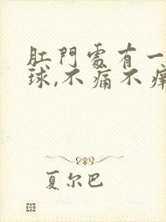 肛门处有一软肉球,不痛不痒封面