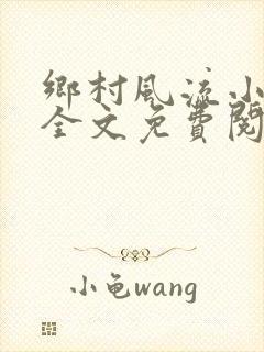 乡村风流小傻子全文免费阅读