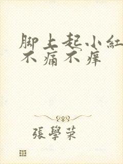 脚上起小红点点不痛不痒