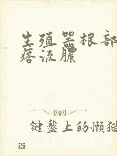 生殖器根部长疙瘩流脓