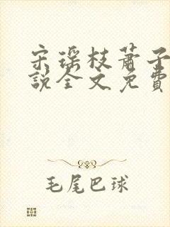 宋瑶枝萧子骞小说全文免费阅读封面