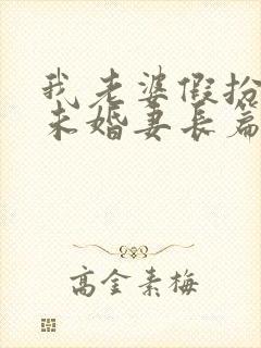 我老婆假扮兄弟未婚妻长篇小说封面