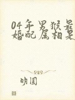 04年男猴最佳婚配属相是什么