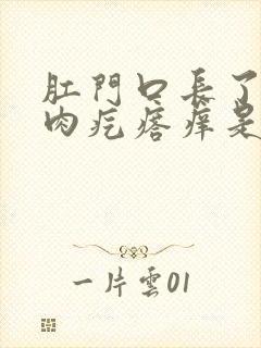 肛门口长了一个肉疙瘩痒是怎么回事