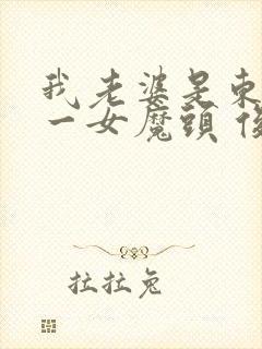 我老婆是东晋第一女魔头 俊俏少年封面