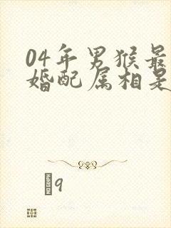 04年男猴最佳婚配属相是什么