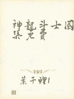 神龙斗士国语全集免费封面