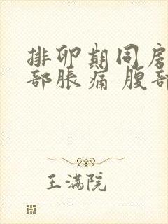 排卵期同房后胸部胀痛 腹部隐痛