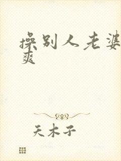 操别人老婆就是爽封面