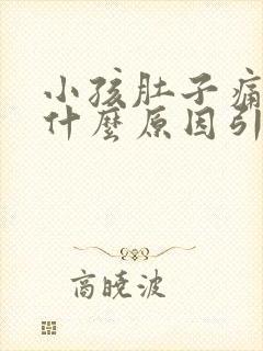 小孩肚子痛吐了什么原因引起的封面