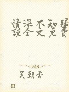 情深不知归处小说全文免费阅读