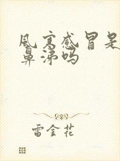 风寒感冒是流清鼻涕吗