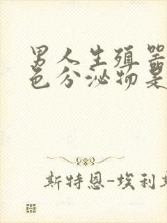 男人生殖器有黄色分泌物是怎么回事封面