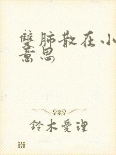 双肺散在小结节意思