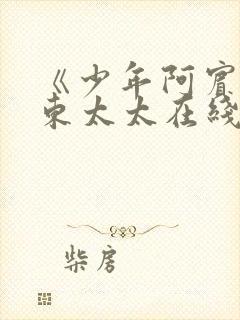 《少年阿宾》房东太太在线