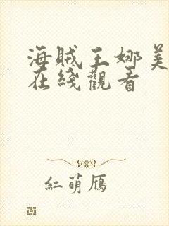 海贼王娜美动画在线观看封面